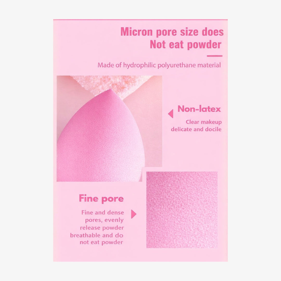 Pack of 4 Beauty Blenders with Storage Case